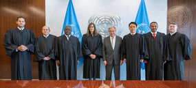 (Les nouveaux juges élus, de gauche à droite, au TANU : M. Abdelmohsen Sheha (Égypte), M. Nassib G. Ziadé (Liban/Chile), M. Leslie Formine Forbang (Cameroun) et Mme. Katherine Savage (Afrique de sud). Au TCNU: M. Xiangzhuang Sun (Chine), M. Solomon Waktolla (Éthiopie) et M. Sean Daniel Wallace (USA))